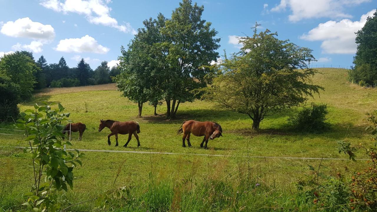 Przystanek Patulskie Pierszczewo Экстерьер фото