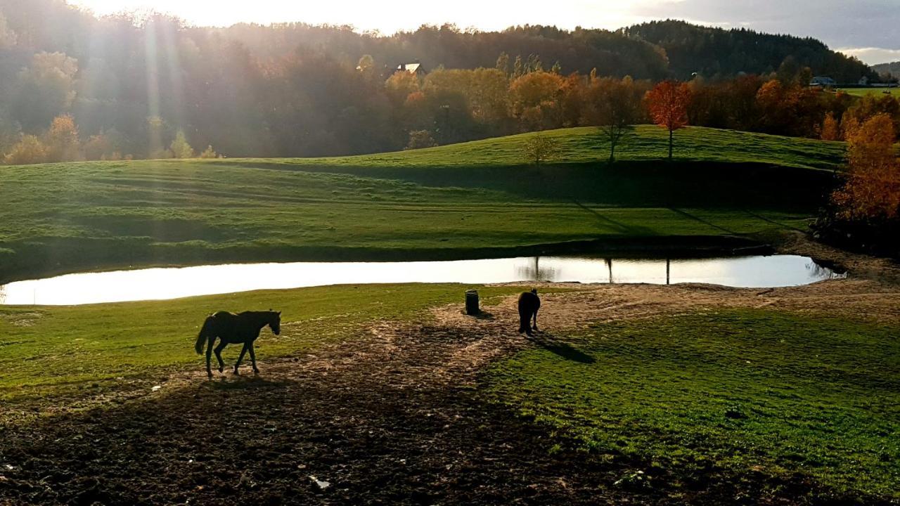 Przystanek Patulskie Pierszczewo Экстерьер фото